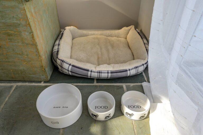 d87388dc-df65-4468-8180-d4d6b4df650e